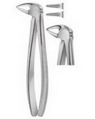 Tooth Extracting Forceps  